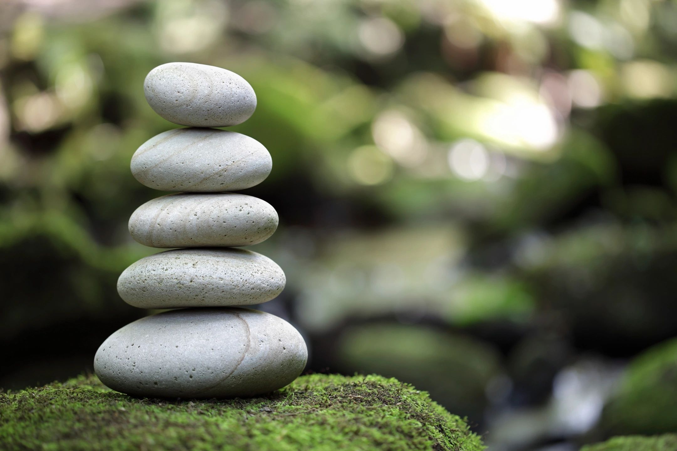 Stacked smooth stones on moss — symbolizing balance, stability, and natural growth.